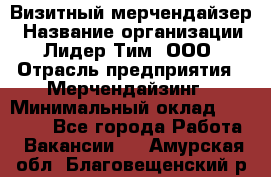 Визитный мерчендайзер › Название организации ­ Лидер Тим, ООО › Отрасль предприятия ­ Мерчендайзинг › Минимальный оклад ­ 18 000 - Все города Работа » Вакансии   . Амурская обл.,Благовещенский р-н